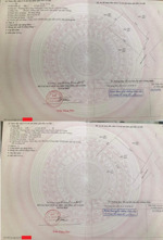 bán 2 căn kề nhau+1 căn đang cho thuê với 3 nhà nhỏ có gác có nhà vs+1 căn đang ở 1 trệt 1 lầu 2 wc