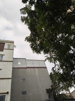 bán đất tại phố mai dịch, cầu giấy, hà nội, giá siêu hời 26,2 tỷ, 96m2, ô tô tránh.