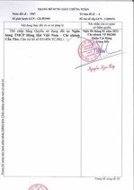 công ty đấu giá hợp danh sao việt đang đấu giá tài sản