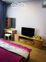 cần bán gấp căn hộ phú mỹ hưng, quận 7. 115m2 3pn 2wc có sẵn hợp đồng thuê, giá tốt nhất thị trường