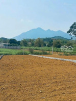 2 tỷ sở hữu ngay đất view núi ba vì cánh đồng trước mặt, không gian sống đáng mơ ước