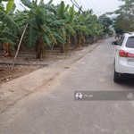 chủ cần tiền bán gấp lô đất đẹp tại xã việt khê ninh sơn thủy nguyên- giá bán chỉ 9xx tr