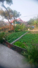 bán đất thị trấn phú xuyên, phú xuyên, thường tín 50m gần hồ gần ôtô giá chỉ 1,45 tỷ.