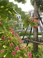 bán nhanh biệt thự tại lõi cuputra tây hồ, 140m2 có hầm chỉ từ 50 tỷ