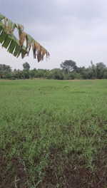 bán đất 2.148m2 tại xã bình đông, gò công, tiền giang, giá 4 tỷ vnd