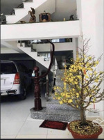 chính chủ cho thuê căn nhà đẹp lung linh xe hơi ngủ nhà, 5 tầng - mặt tiền đường chỉ 15 triệu/tháng