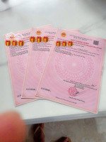 bán 2 nền liền kề. dt: 4.11 x 24.5m2, shr. giá: 3.3 tỷ