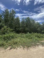 đất ở giá mềm xuân thọ, xuân sơn 117,9m², ngang 5m, đường đất 3m, chỉ 470 triệu