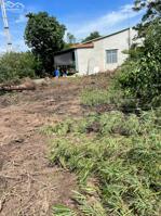 5x22 thổ cư. sổ hồng riêng. Gần trung tâm thị trấn. 2xx tr