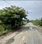 bán đất đường an thuận 320m2 tại xã an ninh đông, đức hòa, long an, giá 3,1 tỷ