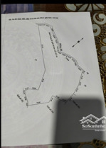 đất 37000m2 thổ cu 400m2 đường đan ô tô, mặt tiền 312m. có nhà hợp tác mg