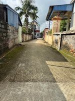 bán gấp 295m thôn tự tiên, tiên minh, tiên lãng hải phòng