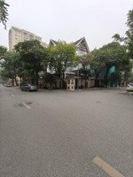 bán bt 239m2 lô góc tại trần thái tông, dịch vọng, cầu giấy, 128,1 tỷ giá ưu đãi đẹp.