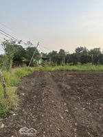 bán đất xuân tây 2000m2 có 100 ont