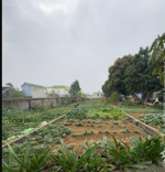 tài chính hơn 2 tỷ nằm trên trục chính cách ga metro khoảng 700 m. chỉ có 1 lô duy nhất