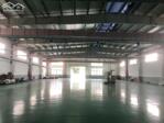 Bán xưởng 5000m2 KCN VSIP II, Bình Dương