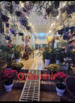 CHÍNH CHỦ CẦN BÁN GẤP LÔ ĐẤT MT QUỐC LỘ 20 ĐANG KINH DOANH CAFE NGAY XÃ GIA HIỆP, DI LINH, LÂM ĐỒNG