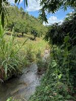 NHÀ VÀ ĐẤT DƯỚI 1 TỶ & DƯỚI 2 TỶ BẢO LỘC - 1,200M2 GIÁ TỪ 400 TRIỆU