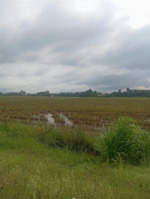 bán đất tại thôn xuân trang,xuân sơn, vạn ninh, giá tốt 29 tỷ, 7750.4m2 full thổ, đường 6m