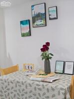 Căn Hộ Duplex Full Nội Thất Máy Giặt Riêng Gần Chợ Hoàng Hoa Thám Tân Bình