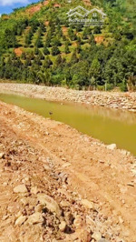 đất thị trấn tô hạp, giáp suối siêu mê * bám đường ô tô dài hơn 40m, giá: 1,650 tỷ