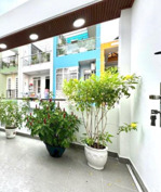 căn nhà dành cho gia đình hiện đại nguyễn trọng tuyển, hẻm lớn 6m