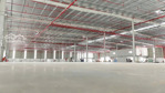 cho thuê kho xưởng 25.000m2, khu kho nam thuận bình thuận, bình điện 2.000kva, pccc tự động