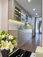 chính chủ cần bán căn hộ 2 ngủ 2wc tòa 17t11 nguyễn thị định full nt 