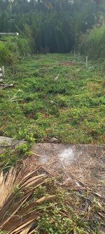 bán nền 100m2 đường xe ba gác, cách đường xe hơi chỉ 50m ngay ubnd xã long hậu