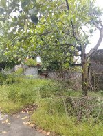 bán gấp đất đông sơn, 1,25 tỷ, 226m2, mặt tiền 12m