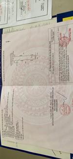 BÁN NHANH 163M2 ĐẤT PHƯỚC LỢI, BẾN LỨC, SHR, 1 TỶ 350