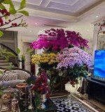 đất tặng nhà 2 tầng mt hoàng sĩ khải, gần biển mỹ khê, đường rộng, vừa ở vừa đầu tư