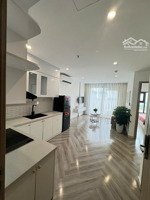 cho thuê căn 1n+ full nội thất đẹp,sàn gỗ giá chỉ 7tr/th bao phí