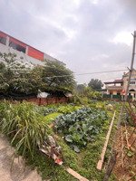 bán đất tại xã hiền ninh, sóc sơn, hà nội giá cực chất 2,19 tỷ, 58m2