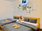 bán căn nhà nguyễn trãi- p9 đà lạt 140m²- 1 trệt 2 lầu-11p-đang kinh doanh cslt/homestay12,5 tỷ