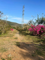 chính chủ cần bán 22ha đất farm kết hợp vườn cây ăn trái, hàm phú hàm thuận bắc, bình thuận giá tốt