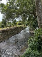 vườn trái cây view suối nước chảy quanh năm có 300m2 ont giá rẻ