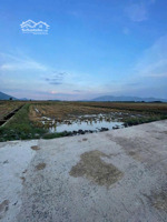 chính chủ bán gấp đất lúa diên sơn - giá rẻ như cho