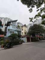 bán bt 241m2 giá siêu hời tại trần thái tông, cầu giấy, hà nội, 128,2 tỷ