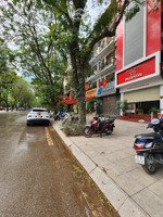 bán nhà mặt phố vạn phúc, ba đình, dt 55m, mt 5.5m, vỉa hè 12m, kinh doanh, giá: 39 tỷ.