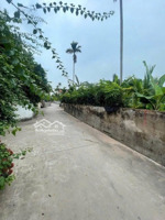 chính chủ cần bán 284,5 m2 full thổ cư tại châu ninh khoái châu hưng yên (hàng dân bán)