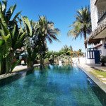 bán tổ hợp nghỉ dưỡng cao cấp cẩm thanh, rừng dừa 7 mẫu. giá rẻ, pháp lý sạch. dòng tiền khủng