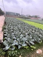 bán đất tại khu dân cư nhơn đức, 13 triệu / m2, 12000 m2, view đẹp, chính chủ