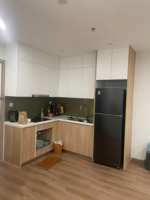 bán căn hộ 1n+ vinhome smart city