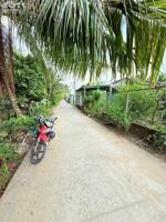  BÁN NỀN GẦN KDL LUNG CỘT CẦU, CÁCH QL61C 900m FULL THỔ CƯ