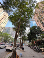 - bán căn hộ chung cư trung hòa, nhân chính, hoàng đạo thúy, thanh xuân, siêu rẻ, 50m2, 4.96 tỷ