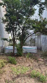 bán gấp đất tại trần đìnbán gấp đất tại trần đình phong, 123m2, giá thỏa thuận, điện bàn, quảng nam