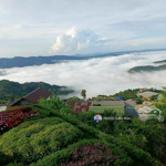 bán gấp đất nền tại xã trạm hành, 5,091 tỷ, 462,8 m2, pháp lý đầy đủ