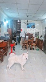 bán nhà chính chủ dương quảng hàm, 45m2, xây mới 4 tầng, khu nhà vip sát bình thạnh, chỉ 4,38 tỷ