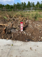 đất thổ cư ấp thoại hương, xã xuân đông, huyện cẩm mỹ, đồng nai, khu dân cư, đường bê tông, giá rẻ